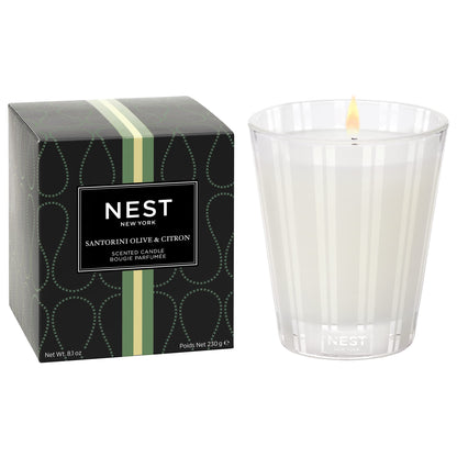 NEST New York Scented Classic Candle, Bamboo - 8.1 oz - Up to 60-Hour Burn Time - Reusable Glass Vessel